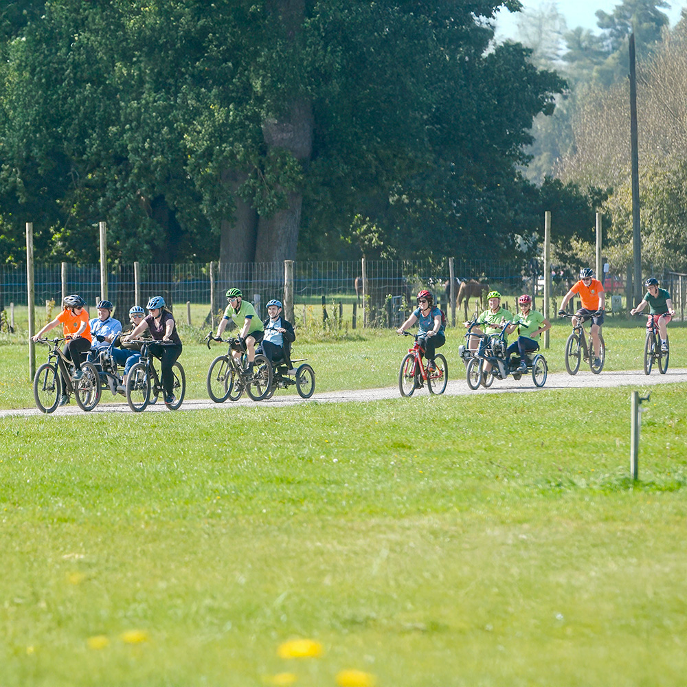 A group of cyclists on a variety of different bikes on a forest trail on a sunny day