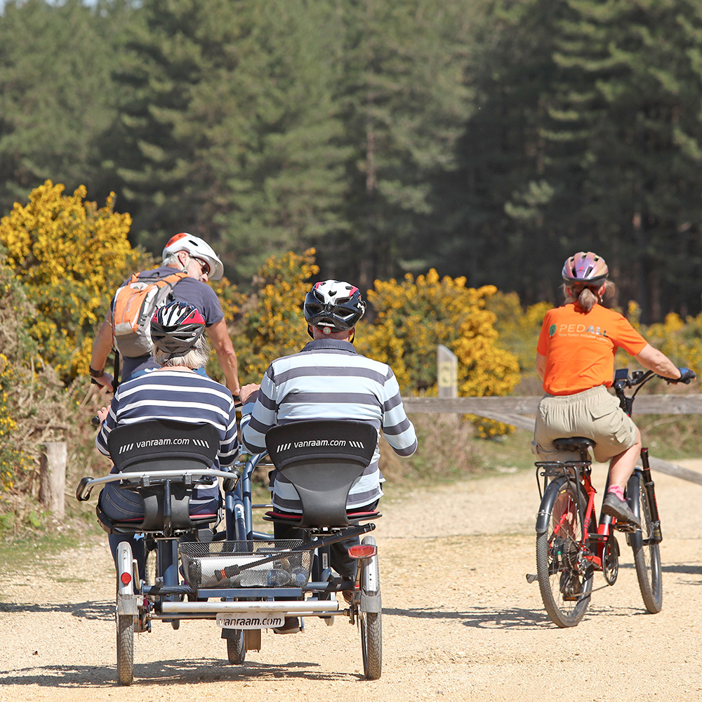 A group of three older people on bikes with a PEDALL volunteer guide cycling on a New Forest path