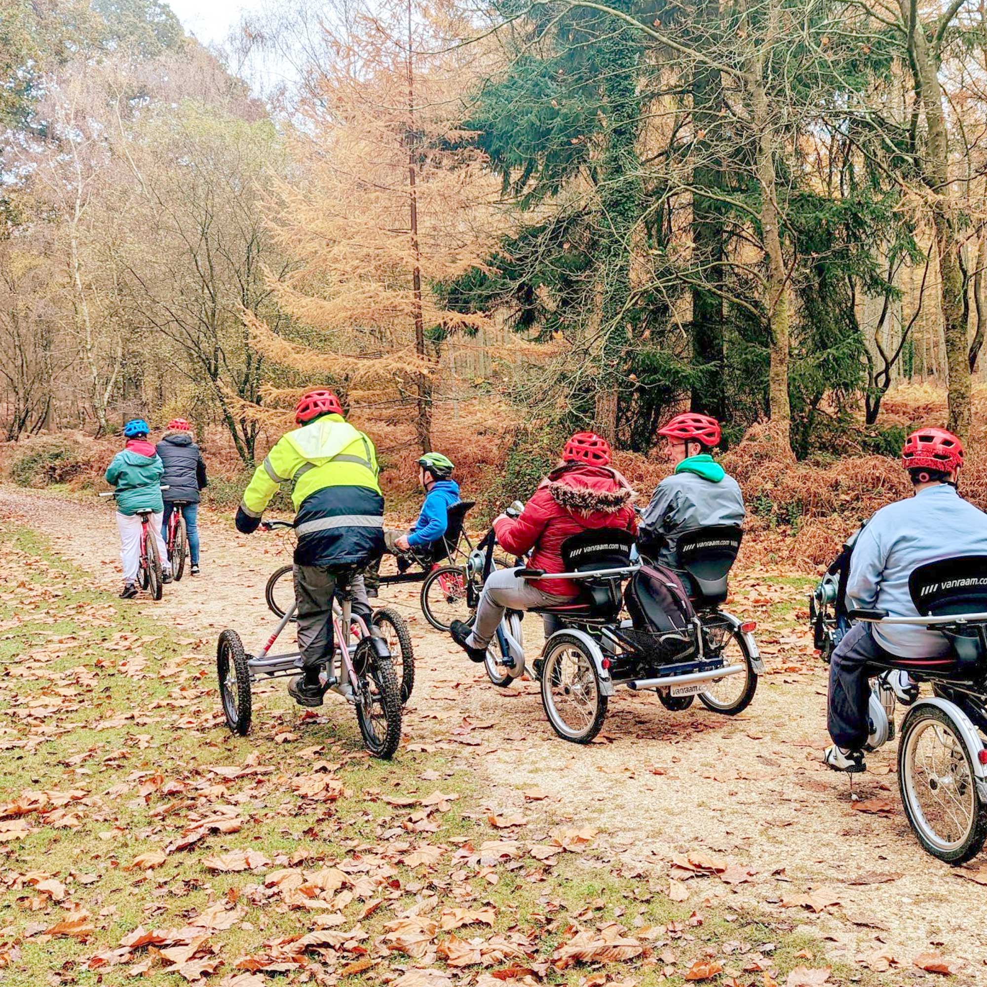 Group of cyclists on various bikes enjoying the autumn forest path